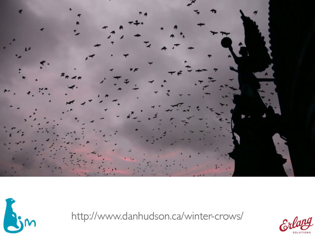 TESTY OBCIĄŻENIOWE
http://www.danhudson.ca/winter-crows/
