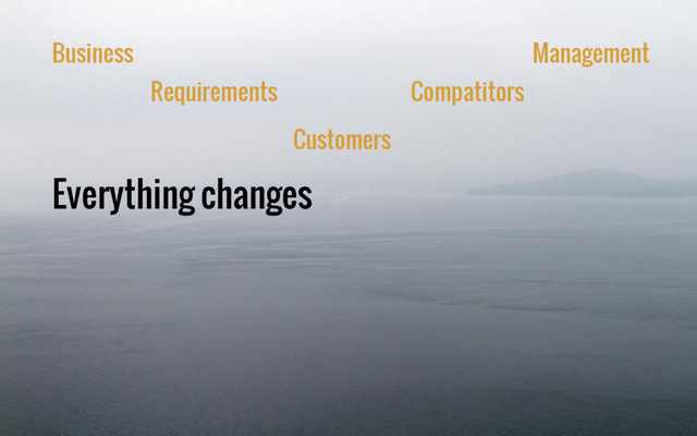 Everything changes
Business
Requirements
Customers
Compatitors
Management
