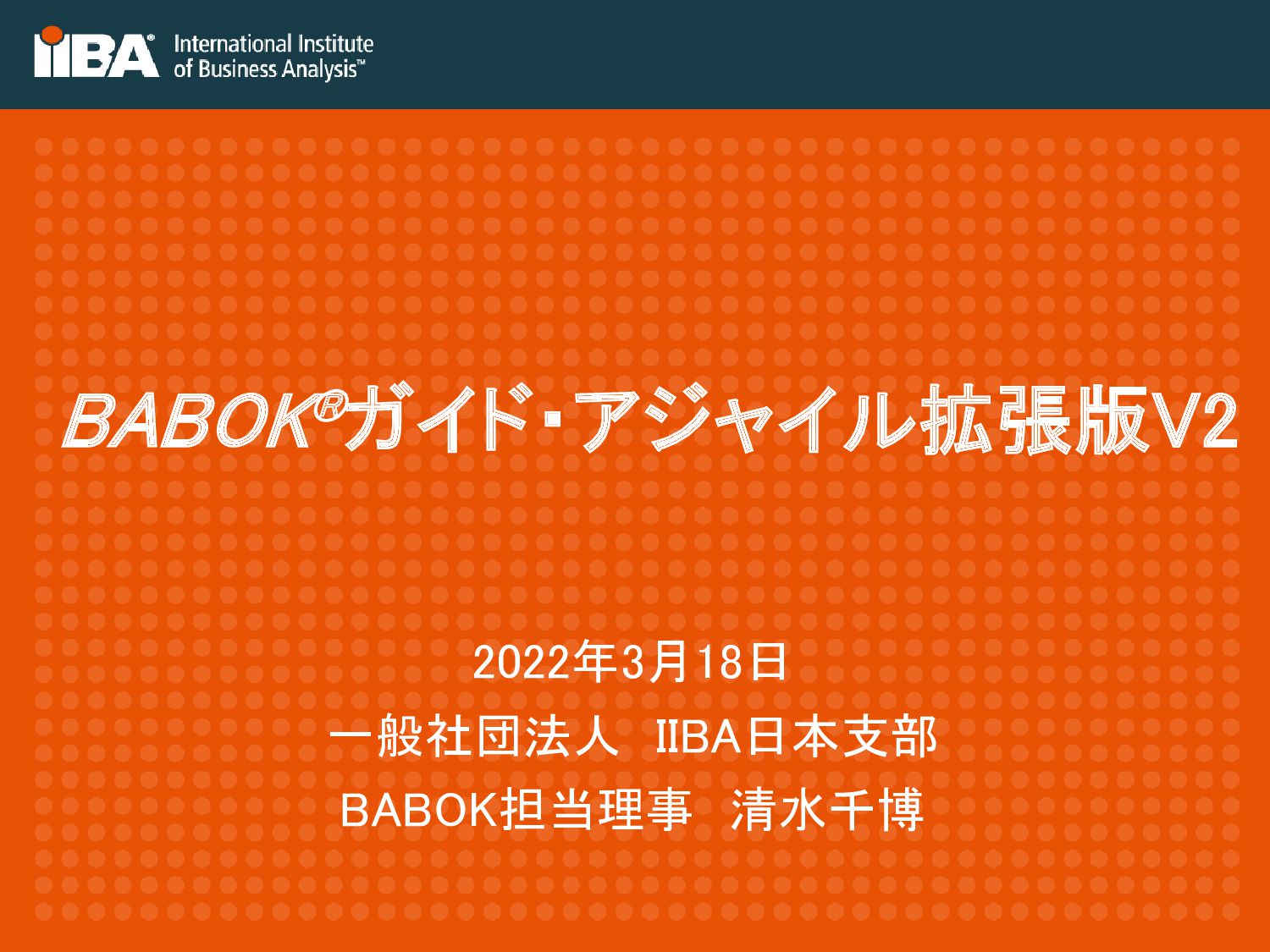 ビジネスアナリシス知識体系ガイド BABOK R ガイド Version 3.0 【即納 