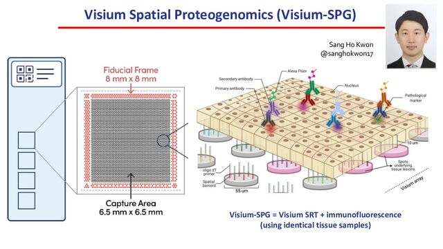 Visium Spatial Proteogenomics (Visium-SPG)
Visium-SPG = Visium SRT + immunofluorescence
(using identical tissue samples)
Sang Ho Kwon
@sanghokwon17
