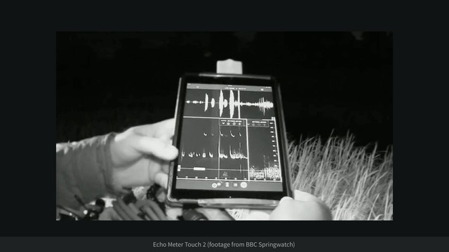 Echo Meter Touch 2 (footage from BBC Springwatch)
