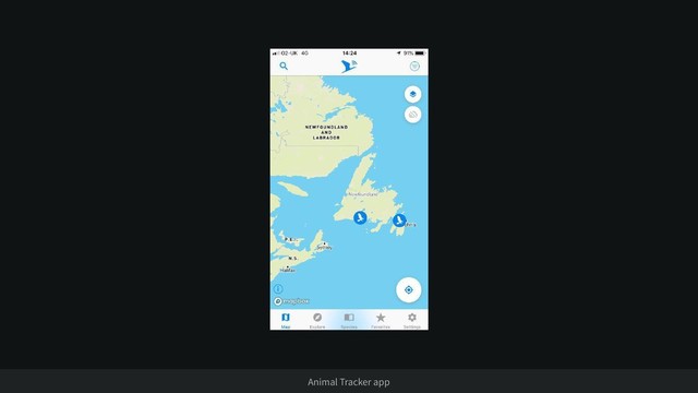 Animal Tracker app
