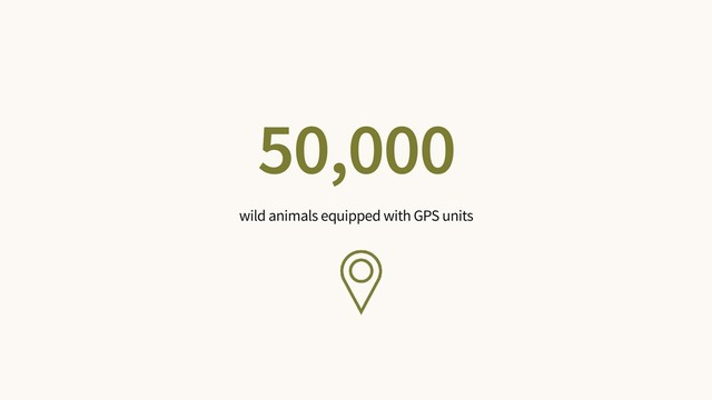 50,000
wild animals equipped with GPS units
