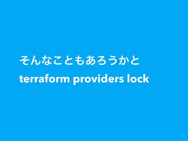 ͦΜͳ͜ͱ΋͋Ζ͏͔ͱ
terraform providers lock
