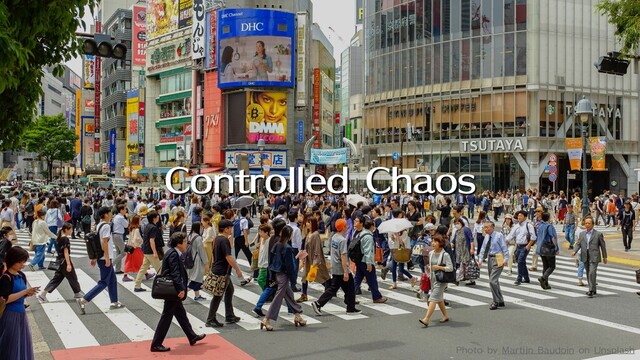 Controlled Chaos
Photo by Martijn Baudoin on Unsplash
