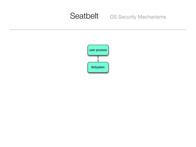 Seatbelt OS Security Mechanisms
user process
libSystem
