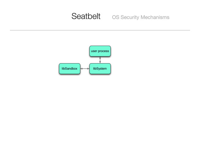 Seatbelt OS Security Mechanisms
user process
libSystem
libSandbox
