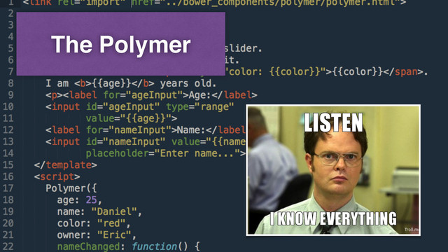 The Polymer
