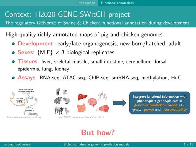 Introduction Functional annotations
Context: H2020 GENE-SWitCH project
The regulatory GENomE of Swine & Chicken: functional annotation during development
High-quality richly annotated maps of pig and chicken genomes:
Development: early/late organogenesis, new born/hatched, adult
Sexes: {M,F} × 3 biological replicates
Tissues: liver, skeletal muscle, small intestine, cerebellum, dorsal
epidermis, lung, kidney
Assays: RNA-seq, ATAC-seq, ChIP-seq, smRNA-seq, methylation, Hi-C
But how?
andrea.rau@inrae.fr Biological priors in genomic prediction models 5 / 21
