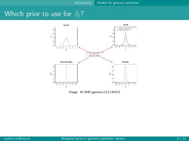 Introduction Models for genomic prediction
Which prior to use for βj
?
Image: 10.1543/genetics.112.143313
andrea.rau@inrae.fr Biological priors in genomic prediction models 8 / 21
