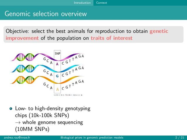 Introduction Context
Genomic selection overview
Objective: select the best animals for reproduction to obtain genetic
improvement of the population on traits of interest
Low- to high-density genotyping
chips (10k-100k SNPs)
→ whole genome sequencing
(10MM SNPs)
andrea.rau@inrae.fr Biological priors in genomic prediction models 2 / 21
