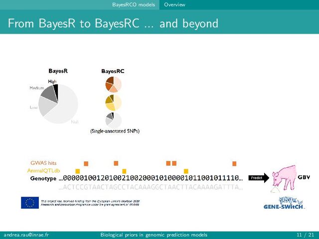 BayesRCO models Overview
From BayesR to BayesRC ... and beyond
andrea.rau@inrae.fr Biological priors in genomic prediction models 11 / 21
