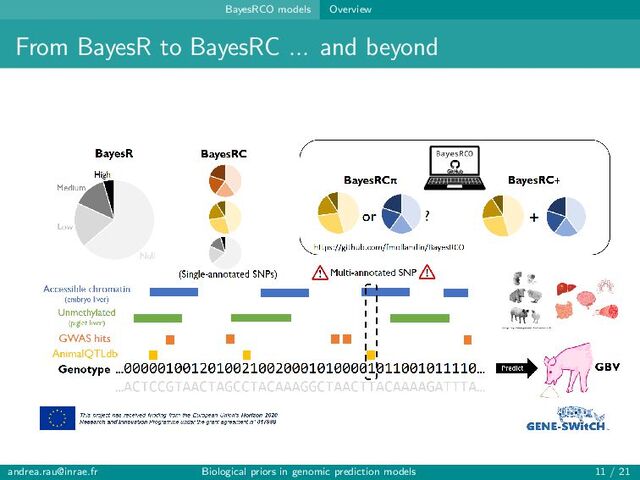 BayesRCO models Overview
From BayesR to BayesRC ... and beyond
andrea.rau@inrae.fr Biological priors in genomic prediction models 11 / 21
