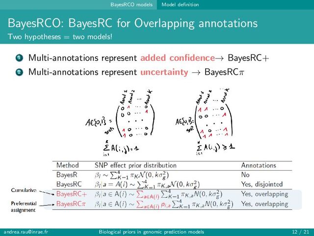 BayesRCO models Model definition
BayesRCO: BayesRC for Overlapping annotations
Two hypotheses = two models!
1 Multi-annotations represent added confidence→ BayesRC+
2 Multi-annotations represent uncertainty → BayesRCπ
andrea.rau@inrae.fr Biological priors in genomic prediction models 12 / 21
