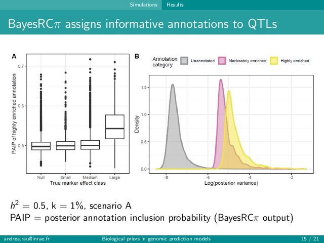 Simulations Results
BayesRCπ assigns informative annotations to QTLs
h2 = 0.5, k = 1%, scenario A
PAIP = posterior annotation inclusion probability (BayesRCπ output)
andrea.rau@inrae.fr Biological priors in genomic prediction models 15 / 21
