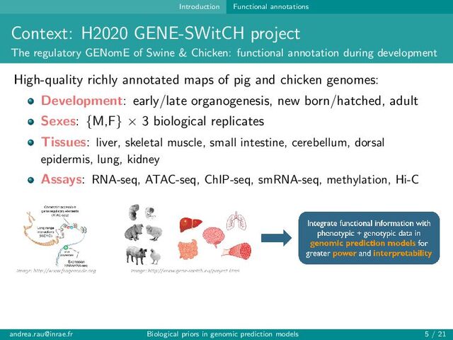 Introduction Functional annotations
Context: H2020 GENE-SWitCH project
The regulatory GENomE of Swine & Chicken: functional annotation during development
High-quality richly annotated maps of pig and chicken genomes:
Development: early/late organogenesis, new born/hatched, adult
Sexes: {M,F} × 3 biological replicates
Tissues: liver, skeletal muscle, small intestine, cerebellum, dorsal
epidermis, lung, kidney
Assays: RNA-seq, ATAC-seq, ChIP-seq, smRNA-seq, methylation, Hi-C
andrea.rau@inrae.fr Biological priors in genomic prediction models 5 / 21
