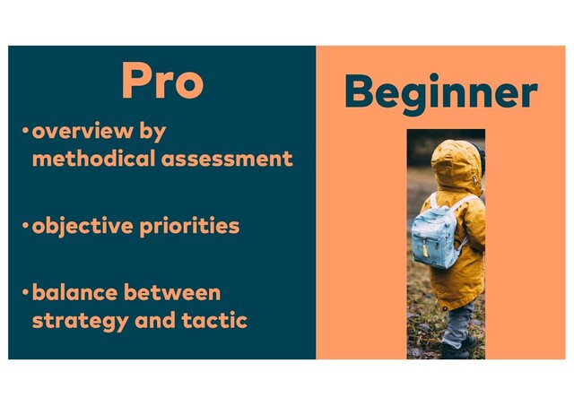 Pro Beginner
•overview by
methodical assessment
•objective priorities
•balance between
strategy and tactic
