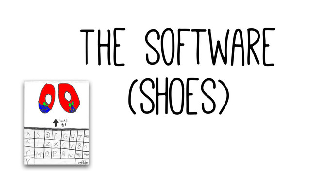 The Software
(SHOES)
