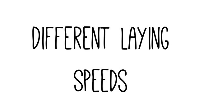 Different Laying
Speeds
