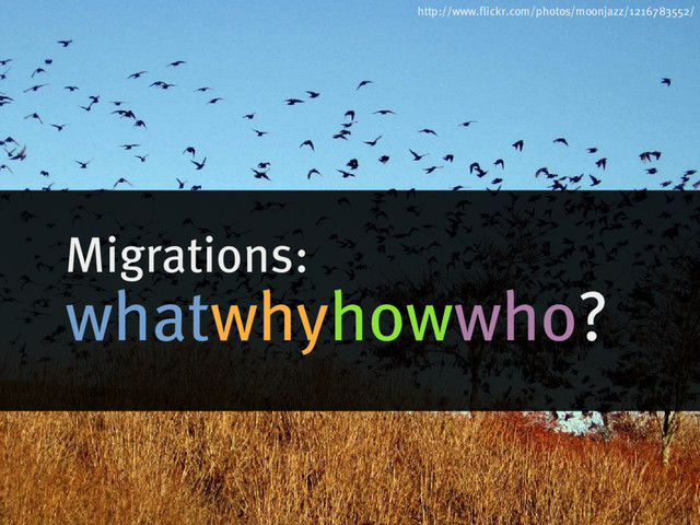 Migrations:
whatwhyhowwho?
http://www.flickr.com/photos/moonjazz/1216783552/
