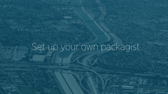 Set up your own packagist
