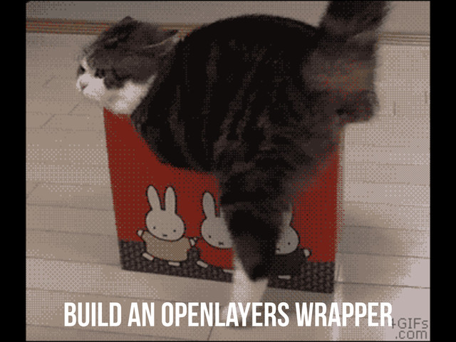 build an OPENLAYERS wrapper
