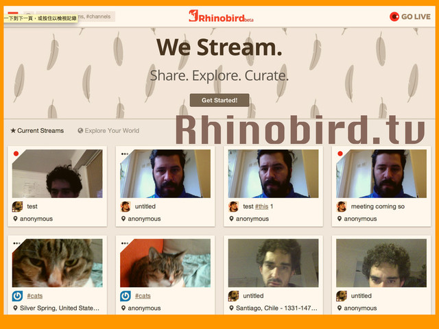 Rhinobird.tv

