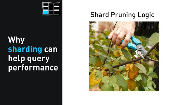 Why
sharding can
help query
performance
Let’s say this huge Redwood
Tree is like a big Postgres
table...
Shard Pruning Logic
