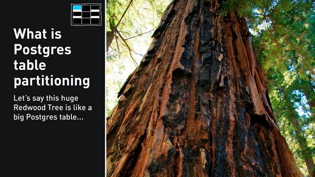 What is
Postgres
table
partitioning
Let’s say this huge
Redwood Tree is like a
big Postgres table...
