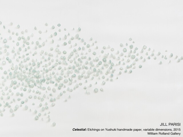 JILL PARISI

Celestial: Etchings on Yushuki handmade paper, variable dimensions, 2015
William Rolland Gallery
