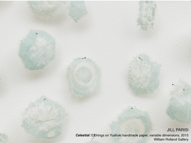 JILL PARISI

Celestial: Etchings on Yushuki handmade paper, variable dimensions, 2015
William Rolland Gallery
