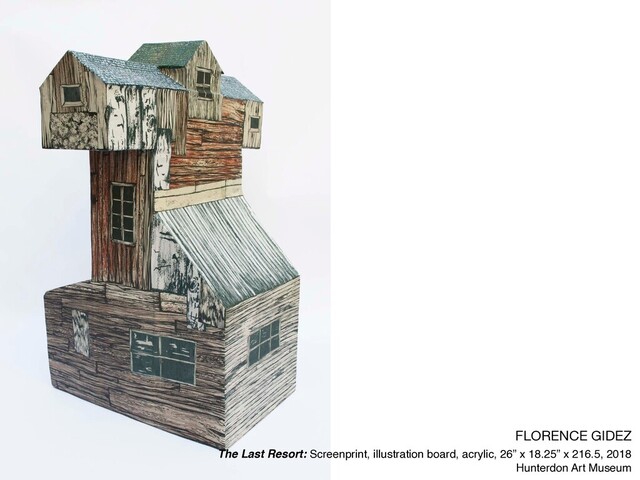 FLORENCE GIDEZ

The Last Resort: Screenprint, illustration board, acrylic, 26” x 18.25” x 216.5, 2018
Hunterdon Art Museum
