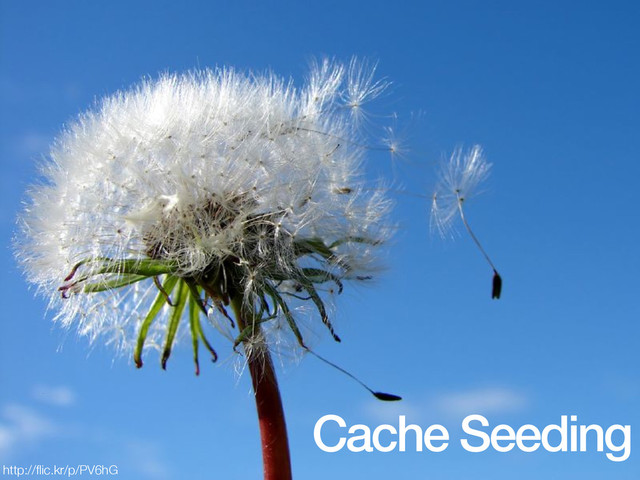 Cache Seeding
http://ﬂic.kr/p/PV6hG

