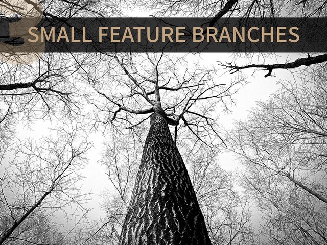 SMALL FEATURE BRANCHES
3

