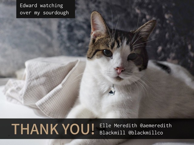 THANK YOU! Elle Meredith @aemeredith
Blackmill @blackmillco
Edward watching
over my sourdough
