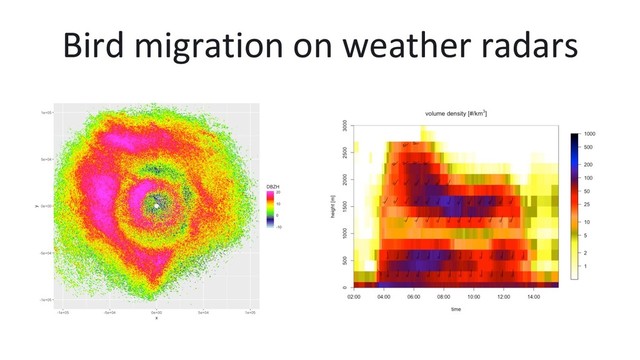 Bird migration on weather radars

