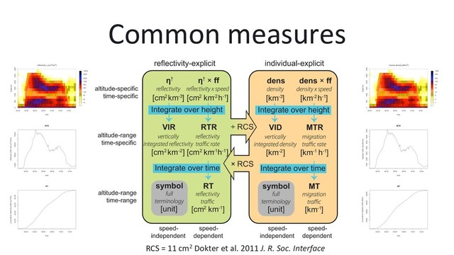 Common measures
RCS = 11 cm2 Dokter et al. 2011 J. R. Soc. Interface
