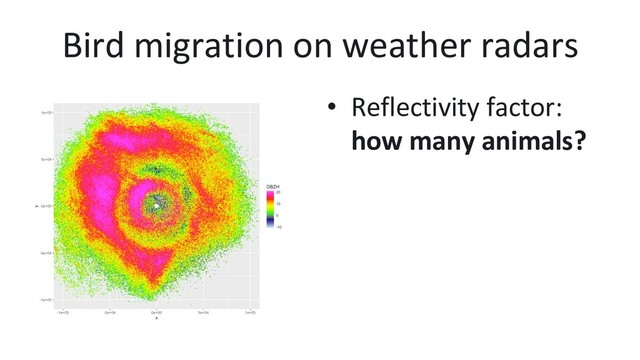 Bird migration on weather radars
•  Reflectivity factor:
how many animals?
