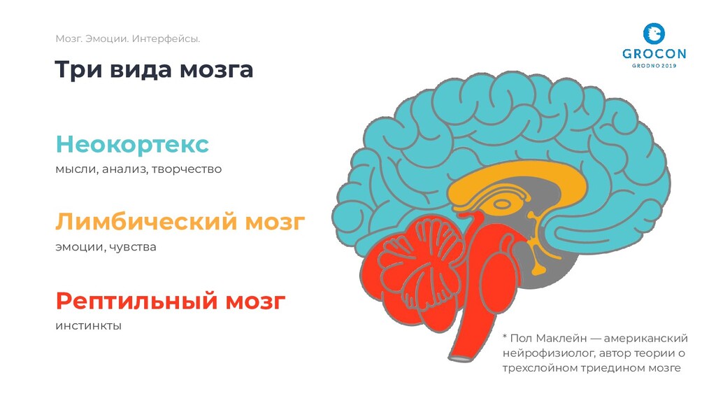 Виды мозга. Теория Триединого мозга пола Маклина. Мозг и эмоции. Эмоциональный мозг. Три вида мозга.