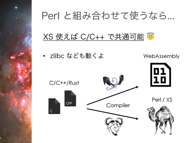 C/C++/Rust
WebAssembly
Compiler
94࢖͑͹$$Ͱڞ௨Մೳ
• [MJCD ͳͲ΋ಈ͘Α
Perl / XS
1FSMͱ૊Έ߹Θͤͯ࢖͏ͳΒ
