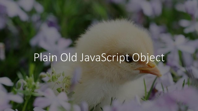 Plain Old JavaScript Object
