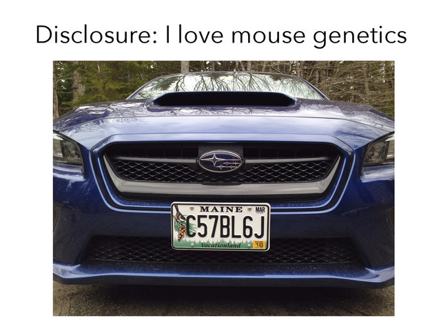 Disclosure: I love mouse genetics
