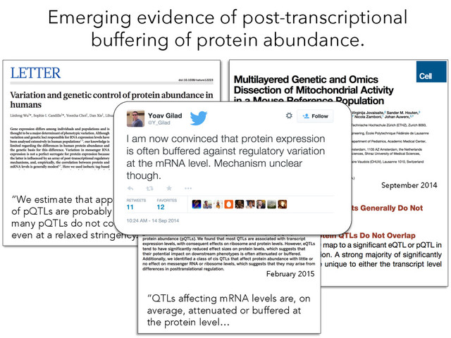 Nature July 2013
“We estimate that approximately one-half
of pQTLs are probably also eQTLs. However,
many pQTLs do not correspond to eQTLs,
even at a relaxed stringency.”
Emerging evidence of post-transcriptional
buffering of protein abundance.
September 2014
February 2015
“QTLs affecting mRNA levels are, on
average, attenuated or buffered at
the protein level…
