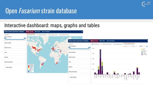 Open Fusarium strain database
Interactive dashboard: maps, graphs and tables

