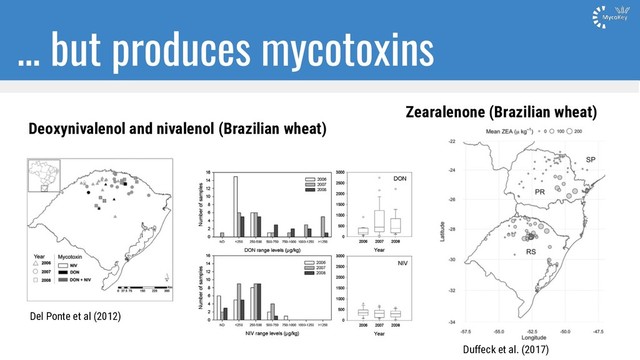 … but produces mycotoxins
Del Ponte et al (2012)
Duffeck et al. (2017)
Deoxynivalenol and nivalenol (Brazilian wheat)
Zearalenone (Brazilian wheat)
