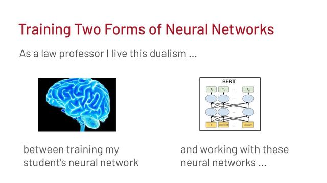 As a law professor I live this dualism …
Training Two Forms of Neural Networks
between training my
student’s neural network
and working with these
neural networks …
