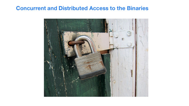 Concurrent and Distributed Access to the Binaries
