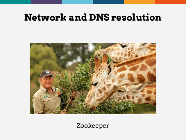 Network and DNS resolution
Zookeeper
