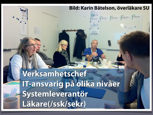 Bild: Karin Båtelson, överläkare SU
Verksamhetschef
IT-ansvarig på olika nivåer
Systemleverantör
Läkare(/ssk/sekr)
