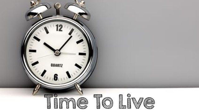 Time To Live

